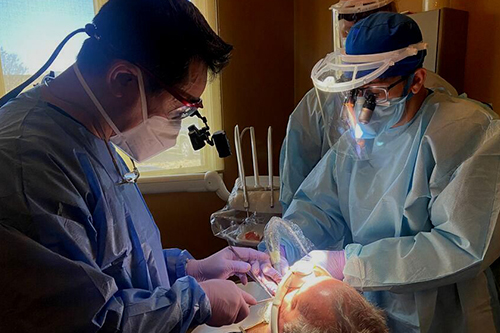 Extractions and Grafting for the GP